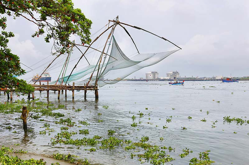 kochi