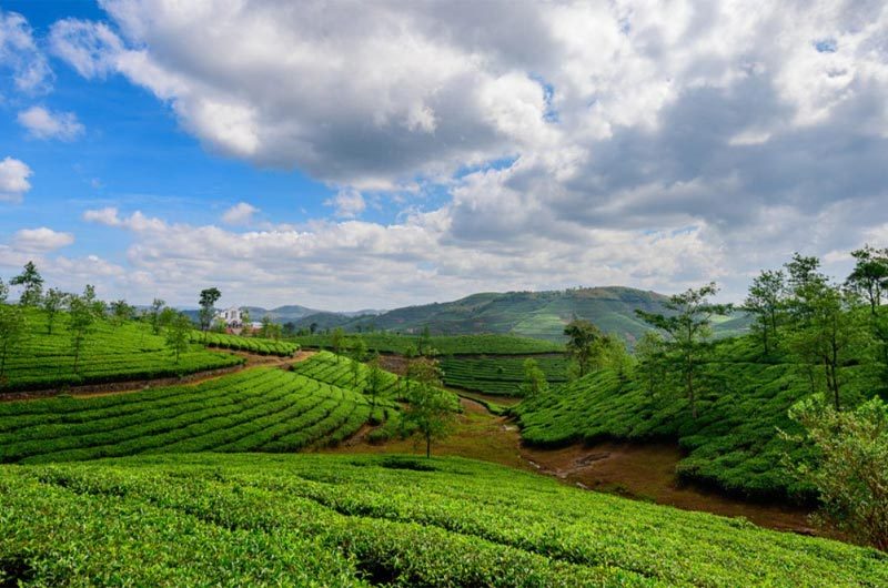 vagamon